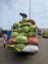 A person standing on a pile of watermelonsDescription automatically generated with low confidence