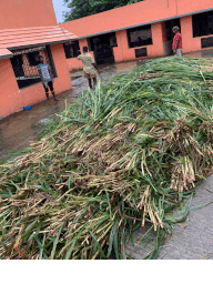 A pile of grass in front of a buildingDescription automatically generated with low confidence