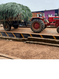 A picture containing truck, outdoor, transport, trailerDescription automatically generated