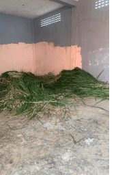 A picture containing ground, nature, concrete, cementDescription automatically generated